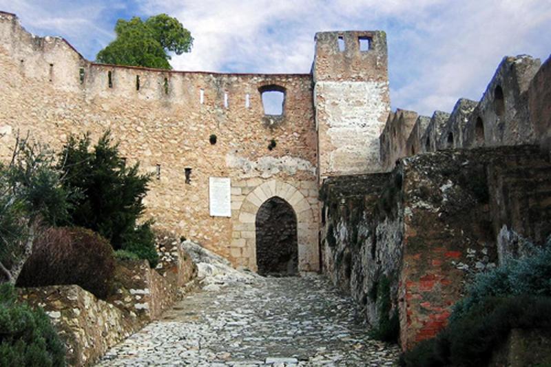 Vernisa - Genel