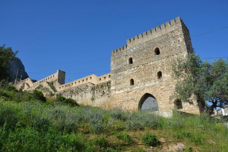 Vernisa - Genel
