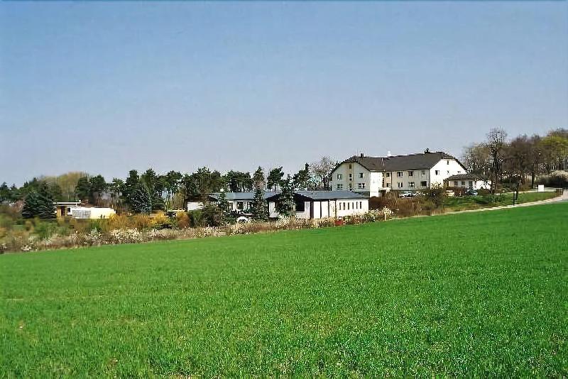Bergfried - Genel