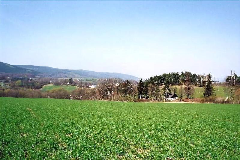 Bergfried - Genel