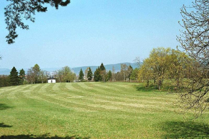 Bergfried - Genel