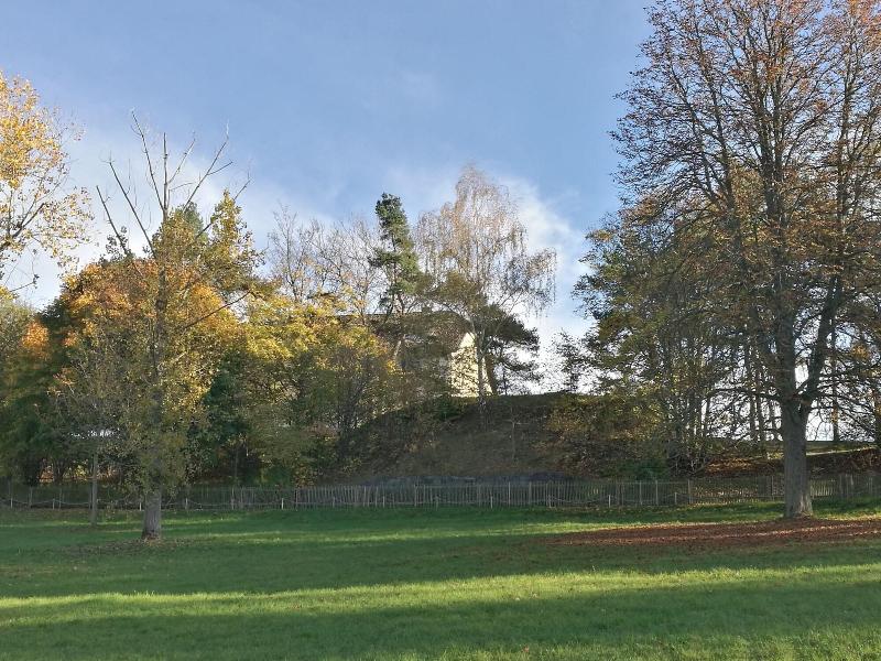 Bergfried - Genel