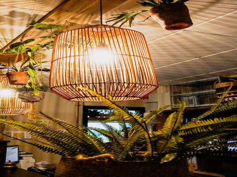 Forest Hotel - Genel