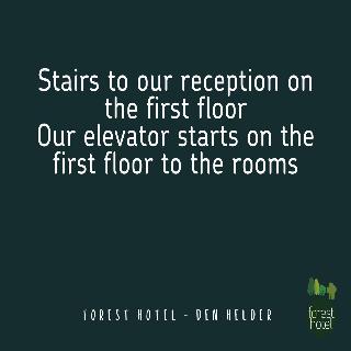 Forest Hotel fotoÄŸrafÄ±