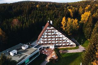 Hotel Ski otel fotoğrafı