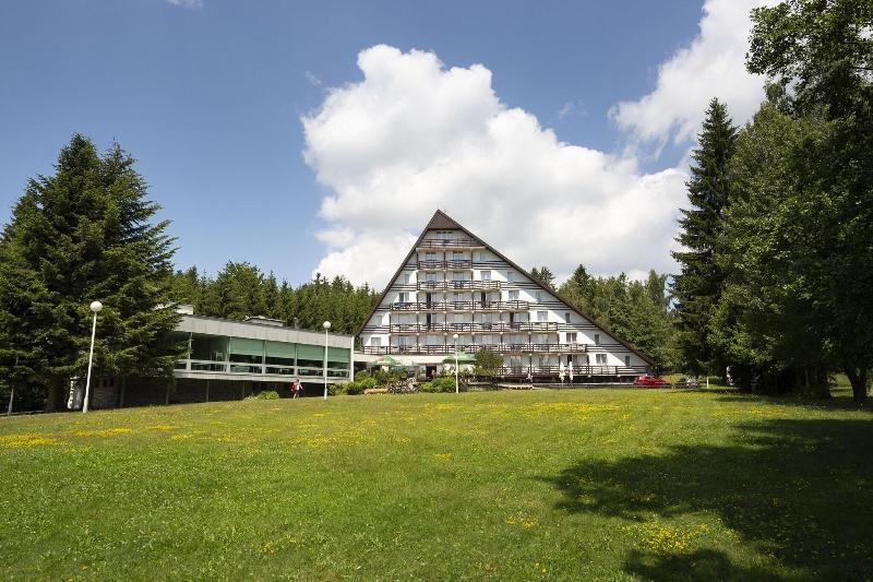 Hotel Ski - Genel