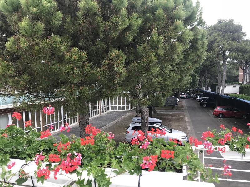 Park Hotel Ermitage - Genel