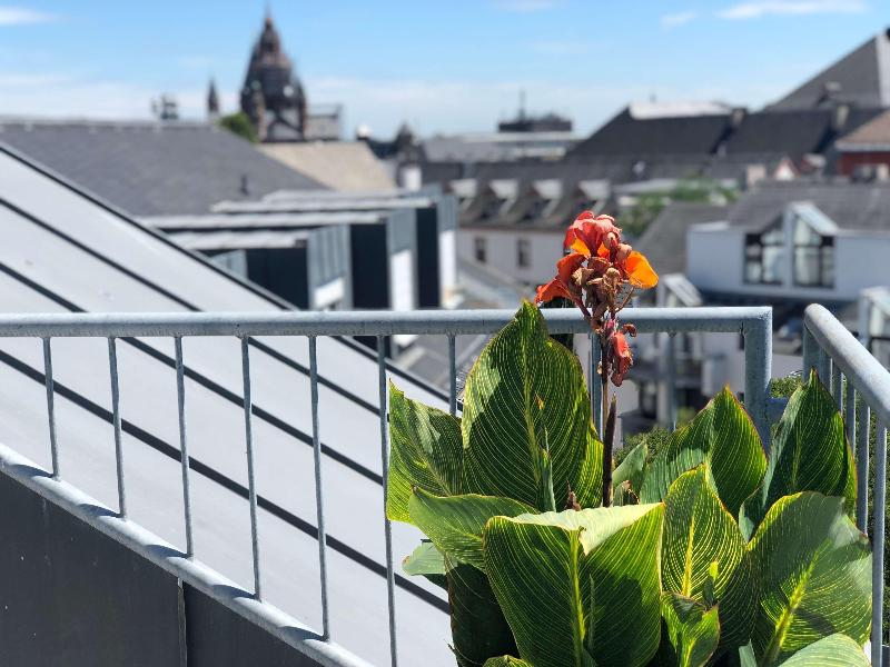 Brunfels Hotel - Oda