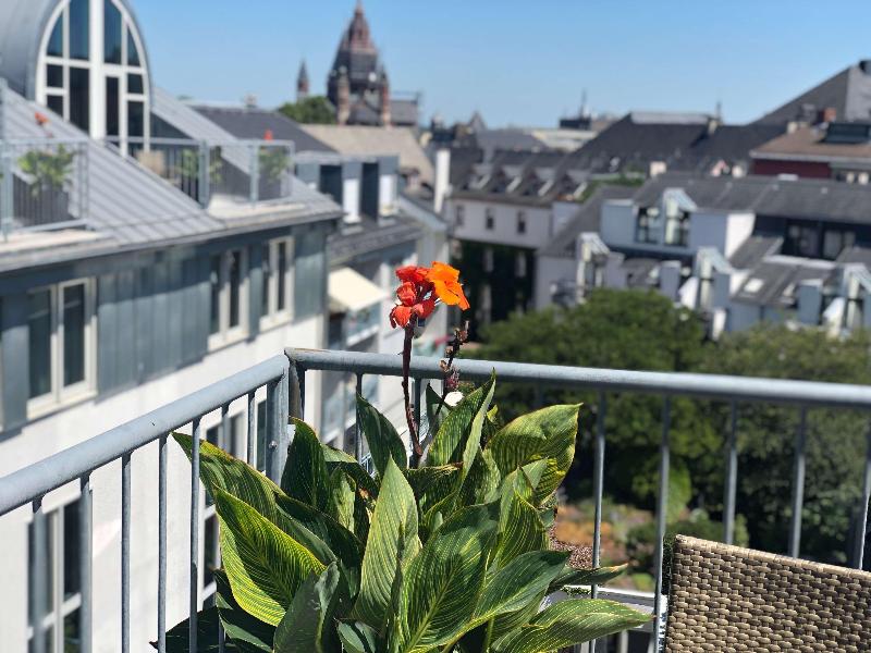 Brunfels Hotel - Oda