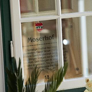 Landhaus Moserhof fotoÄŸrafÄ±